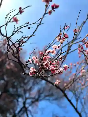 眞田神社(長野県)