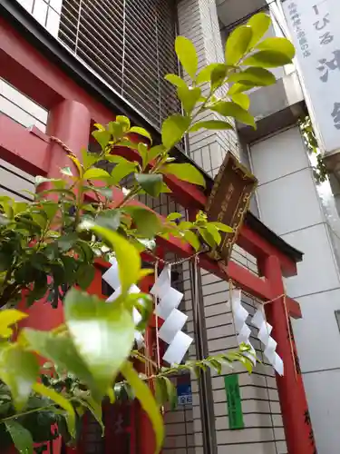 朝日稲荷神社の鳥居