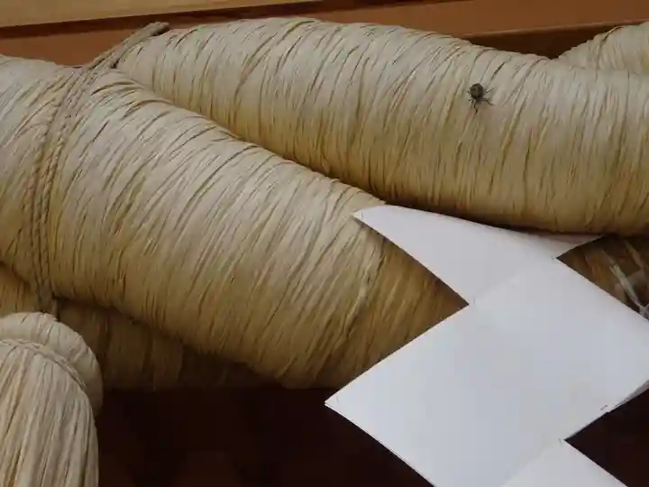 亀ケ池八幡宮の動物