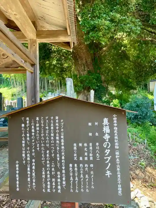 真福寺(神奈川県)