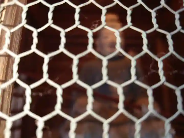 彌彦神社のその他建物