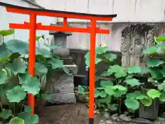 不動院の鳥居