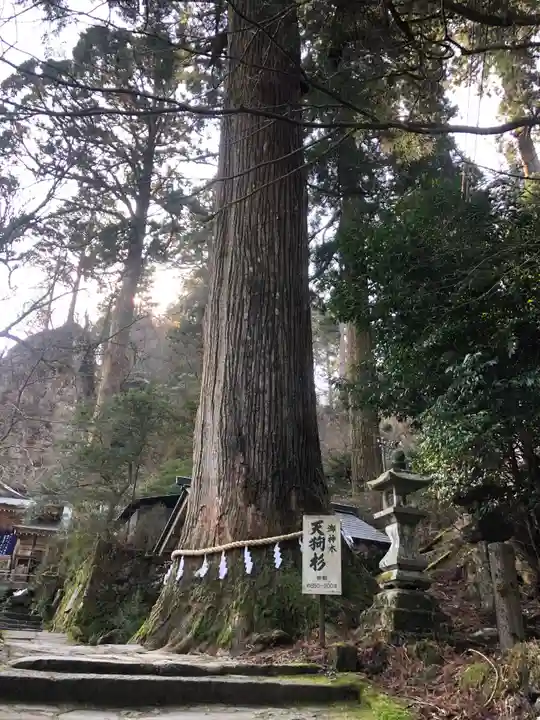 英彦山神宮の自然