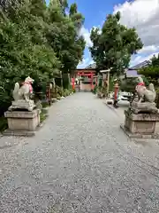 源九郎稲荷神社の狛犬