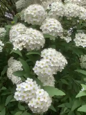 華厳寺(岐阜県)