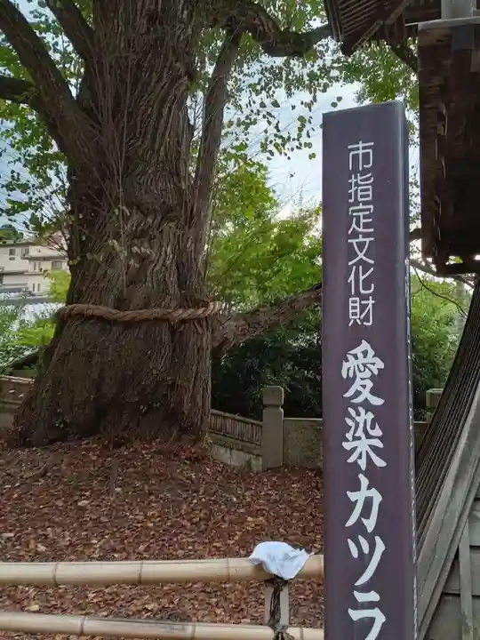 北向観音(長野県)