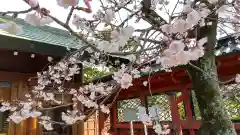 根津神社の自然