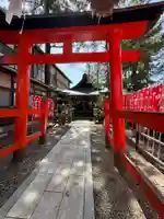 一本杉白山神社(岐阜県)