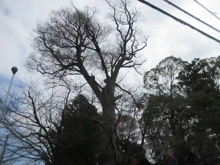 三島神社(神奈川県)