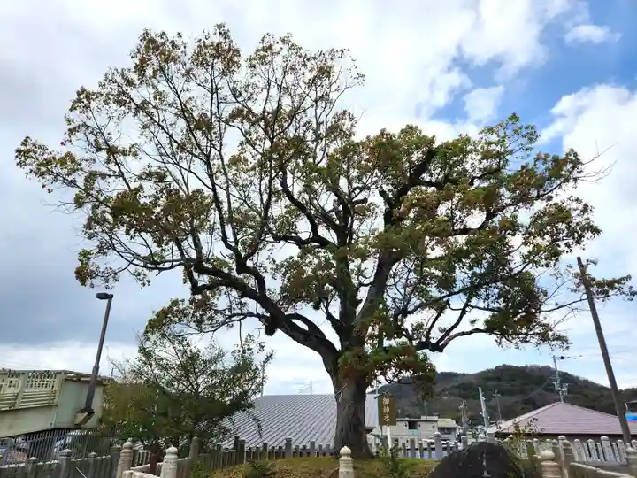 神戸神社(兵庫県)