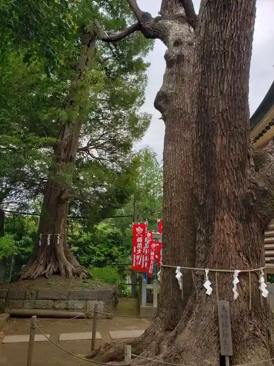 諏訪神社(東京都)