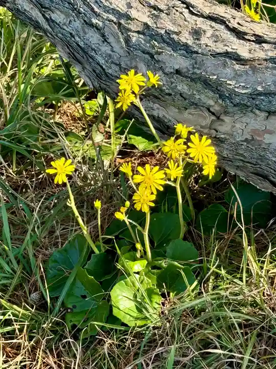 経島神社(島根県)