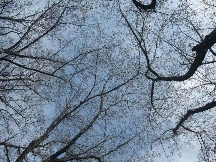 杵築神社(山口県)