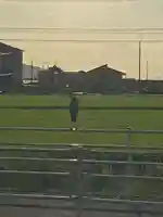 賽の大神の動物