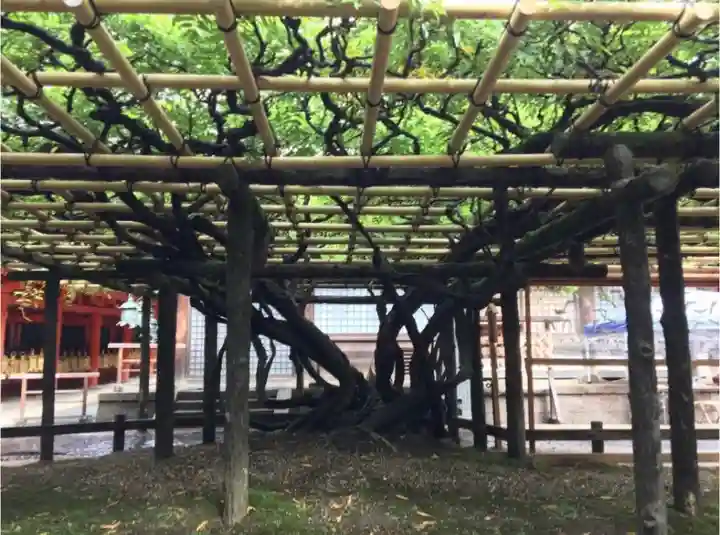 春日大社の庭園