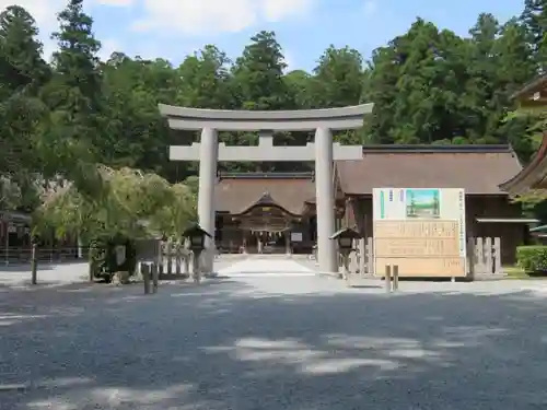 小國神社の鳥居