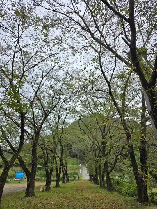 子檀嶺神社(長野県)