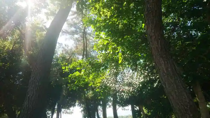 若宮神明社のその他建物