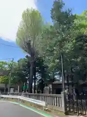 秋津神社の建物その他