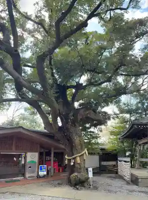 座間神社(神奈川県)