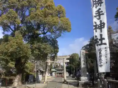 籠守勝手神社（木曽川町黒田）(愛知県)