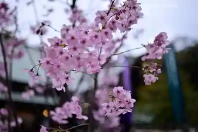 東京大神宮(東京都)