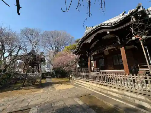 法明寺の{uncategorized: "未分類", other: "その他", undefined: "問題あり", building: "その他建物", grave: "お墓", sacred_gate: "鳥居", guardian: "狛犬", statue: "像", buddha: "仏像", history: "歴史", nature: "自然", garden: "庭園", animal: "動物", pagoda: "塔", temizu: "手水舎", mountain_gate: "山門・神門", sanctuary: "本殿・本堂", subordinate: "末社・摂社", art: "芸術", scenery: "景色", jizo: "地蔵", ema: "絵馬", goshuin: "御朱印", omikuji: "おみくじ", items: "授与品その他", amulet: "お守り", goshuincho: "御朱印帳", eats: "食事", festival: "お祭り", votive_dance: "神楽", shichigosan: "七五三参", wedding: "結婚式", experience: "体験その他", initially: "初詣", around: "周辺", anti_infection: "感染症対策"}