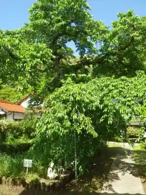 光明寺(山口県)