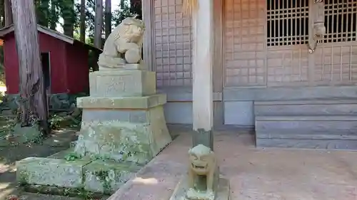 鮑玉白珠比咩命神社の狛犬