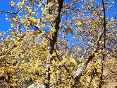 横浜　西方寺(神奈川県)