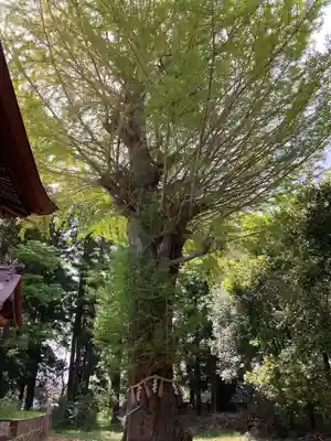 津島神社(宮城県)