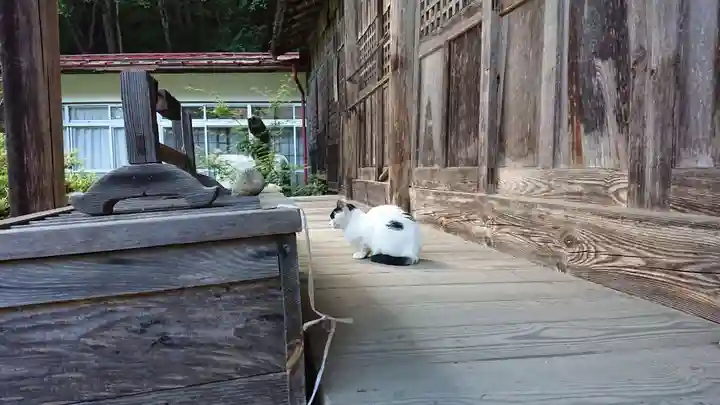 修那羅山安宮神社の動物