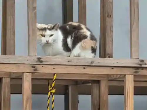 若宮神社(鹿児島県)