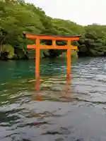 九頭龍神社本宮の鳥居