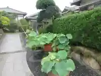 深廣寺(埼玉県)