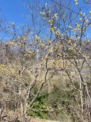 不動寺(埼玉県)