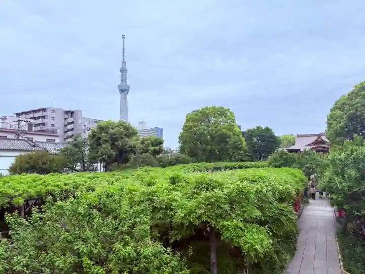 亀戸天神社の{uncategorized: "未分類", other: "その他", undefined: "問題あり", building: "その他建物", grave: "お墓", sacred_gate: "鳥居", guardian: "狛犬", statue: "像", buddha: "仏像", history: "歴史", nature: "自然", garden: "庭園", animal: "動物", pagoda: "塔", temizu: "手水舎", mountain_gate: "山門・神門", sanctuary: "本殿・本堂", subordinate: "末社・摂社", art: "芸術", scenery: "景色", jizo: "地蔵", ema: "絵馬", goshuin: "御朱印", omikuji: "おみくじ", items: "授与品その他", amulet: "お守り", goshuincho: "御朱印帳", eats: "食事", festival: "お祭り", votive_dance: "神楽", shichigosan: "七五三参", wedding: "結婚式", experience: "体験その他", initially: "初詣", around: "周辺", anti_infection: "感染症対策"}