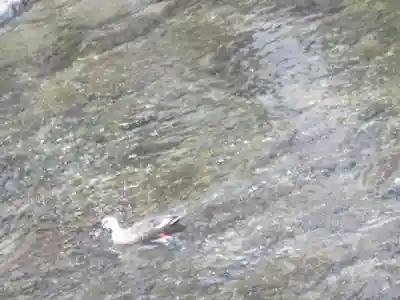 伊勢神宮内宮（皇大神宮）のその他建物