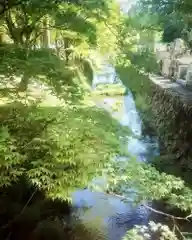 高野山金剛峯寺(和歌山県)