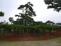 唐崎神社のその他建物