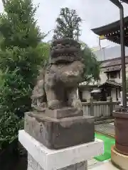 今泉八坂神社の狛犬