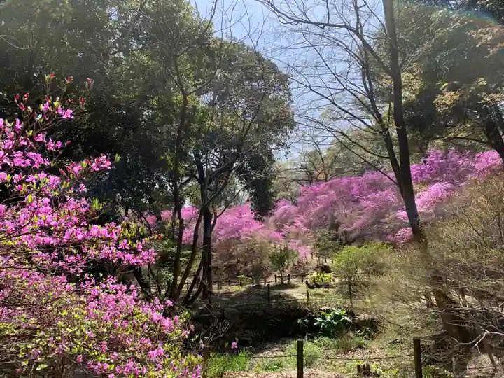 廣田神社の自然