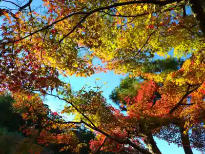 寿量山 速成寺(奈良県)