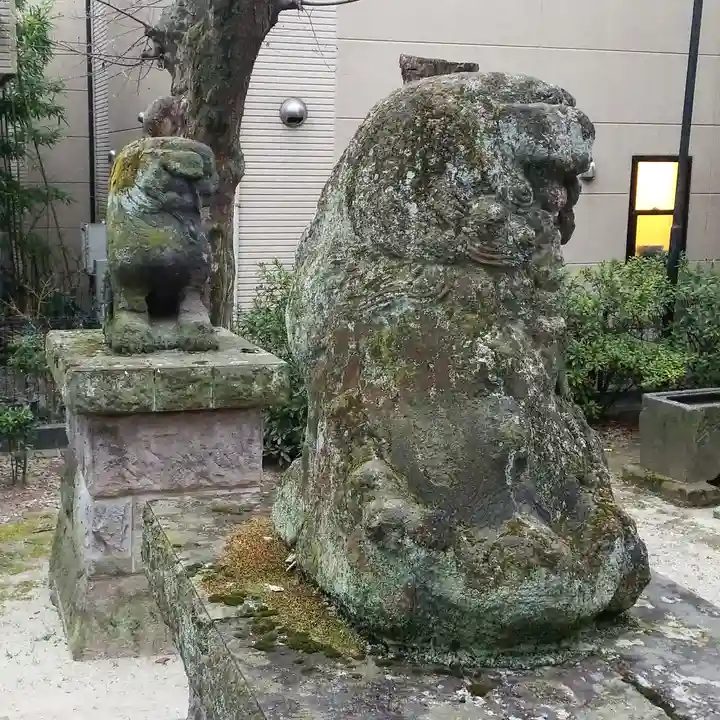 上平井天祖神社の狛犬