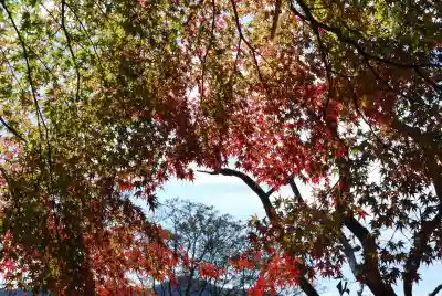 太皷谷稲成神社(島根県)