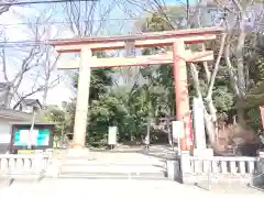 世田谷八幡宮(東京都)