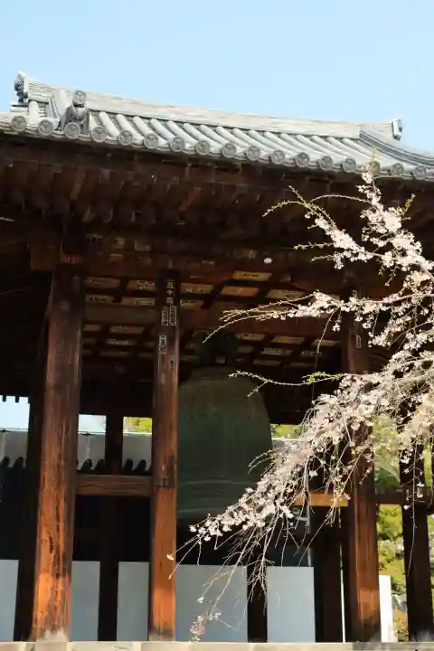 増上寺の{uncategorized: "未分類", other: "その他", undefined: "問題あり", building: "その他建物", grave: "お墓", sacred_gate: "鳥居", guardian: "狛犬", statue: "像", buddha: "仏像", history: "歴史", nature: "自然", garden: "庭園", animal: "動物", pagoda: "塔", temizu: "手水舎", mountain_gate: "山門・神門", sanctuary: "本殿・本堂", subordinate: "末社・摂社", art: "芸術", scenery: "景色", jizo: "地蔵", ema: "絵馬", goshuin: "御朱印", omikuji: "おみくじ", items: "授与品その他", amulet: "お守り", goshuincho: "御朱印帳", eats: "食事", festival: "お祭り", votive_dance: "神楽", shichigosan: "七五三参", wedding: "結婚式", experience: "体験その他", initially: "初詣", around: "周辺", anti_infection: "感染症対策"}