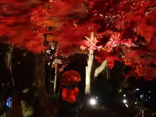 大山寺(神奈川県)