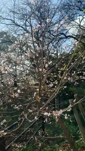 光雲神社(福岡県)