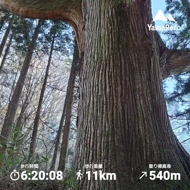 武蔵御嶽神社の自然